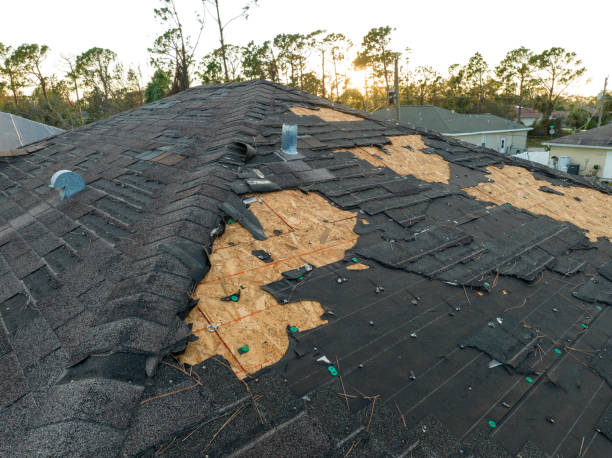 Best Metal Roofing Installation  in Jeannette, PA